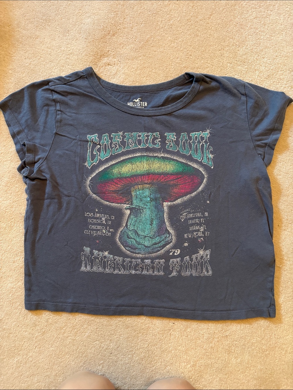 Hollister Girls' Navy Graphic Tee with Multicolor Mushroom Print Size L